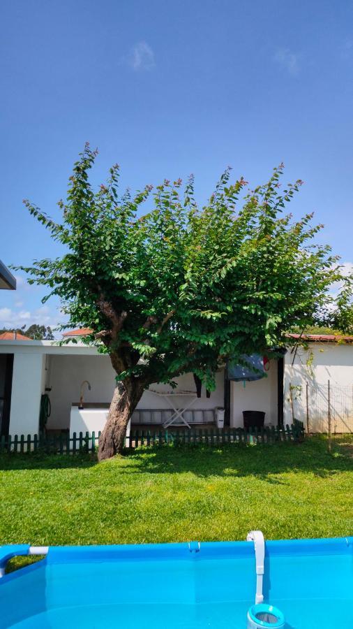 House With Pool And Garden In Esmoriz Near Porto Villa ภายนอก รูปภาพ